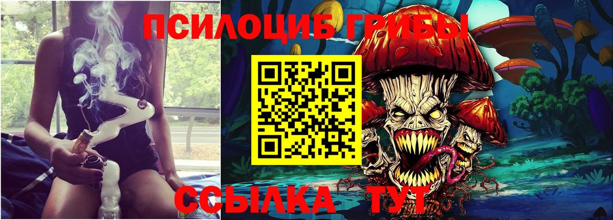 Галлюциногенные грибы прущие грибы Железногорск