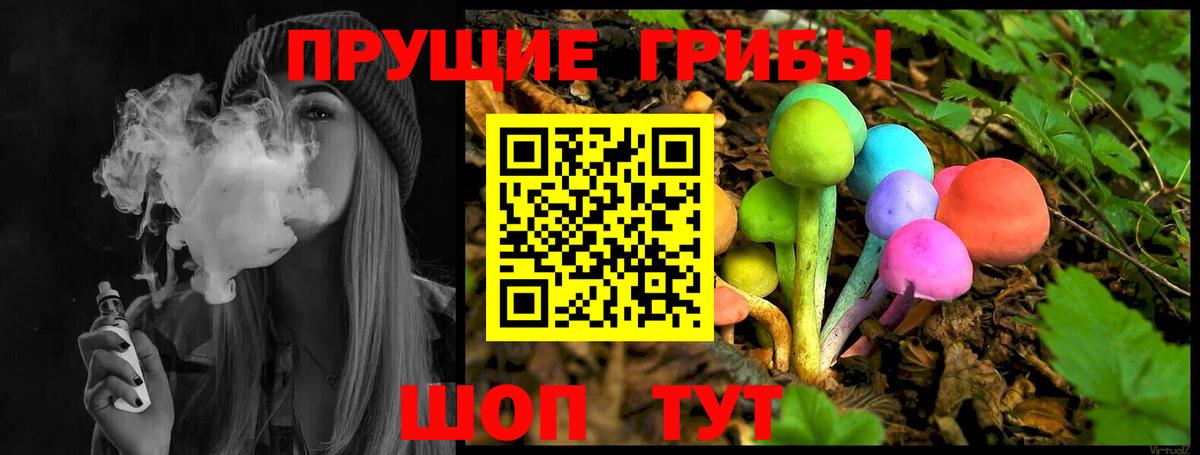 Псилоцибиновые грибы Psilocybe  Вход с VPN  Железногорск  Псилоцибиновые грибы мухоморы 